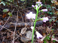P1010830_1.JPG