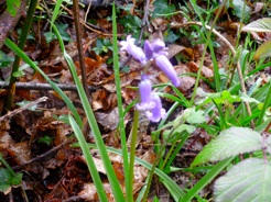 P1010831_1.JPG