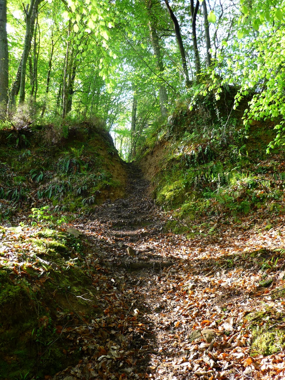 P1010837_1.JPG