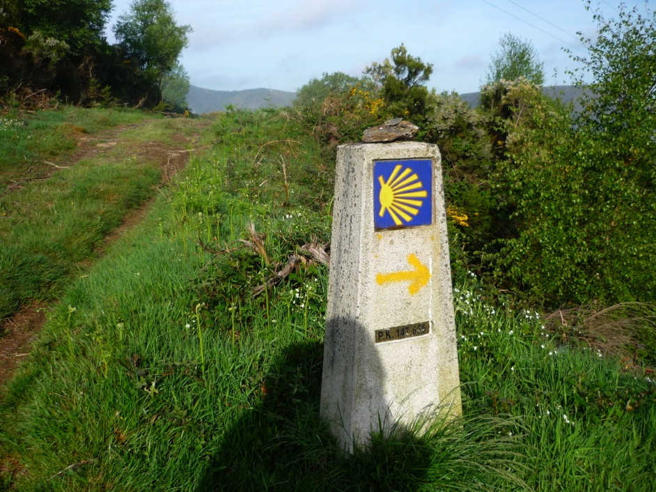 P1010908_1.JPG