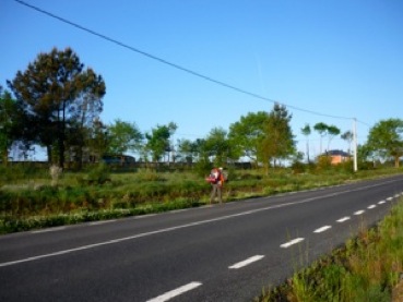 P1010979_1.JPG