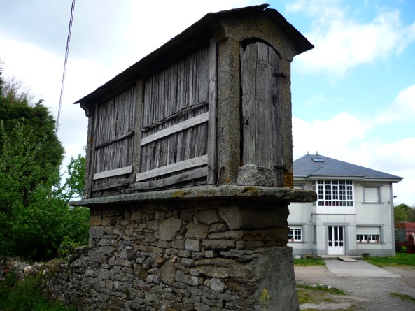 P1010994_1.JPG
