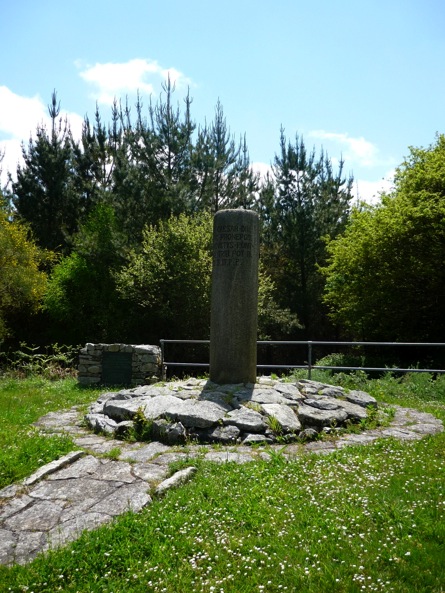 P1020029.JPG