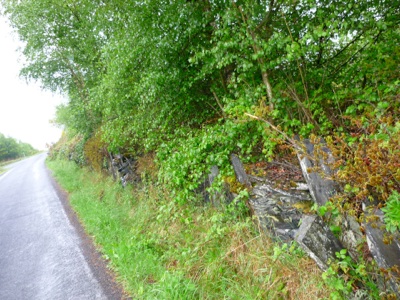P1020053