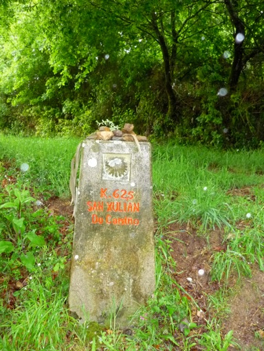 P1020074
