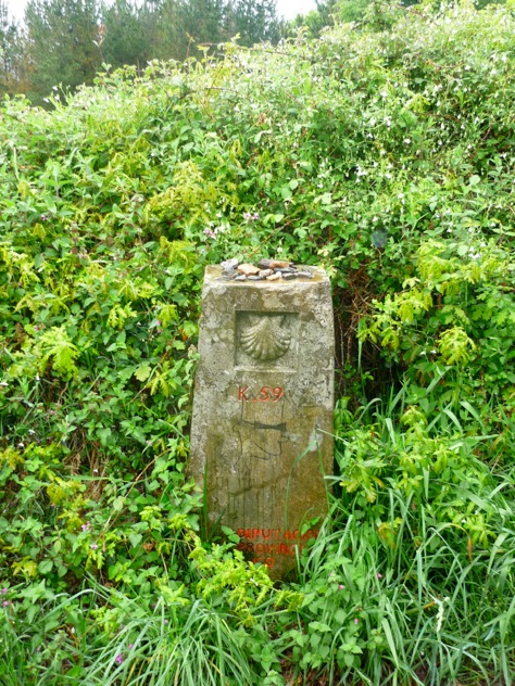 P1020079