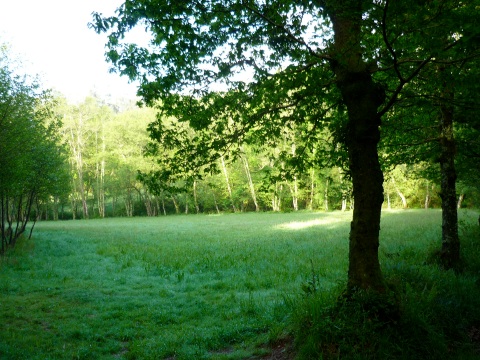 P1020105