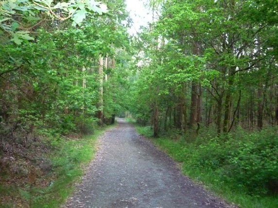 P1020221