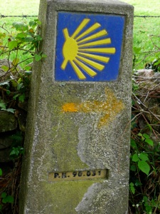 P1010990
