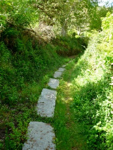P1020012