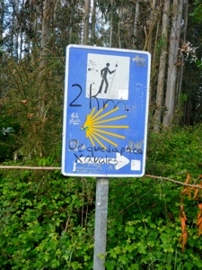 P1020133