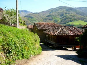 P1010651
